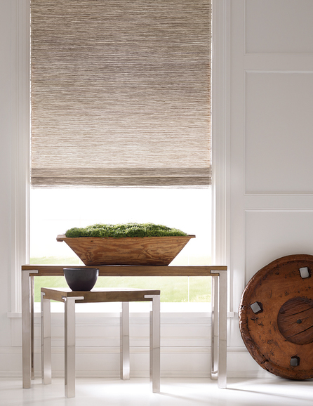 Lutron Hartman and Forbes Roman Shades