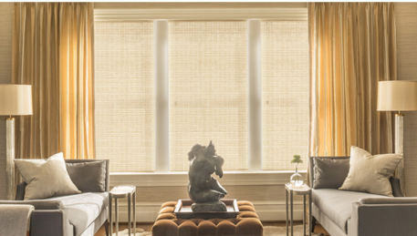 Lutron Hartman and Forbes Roman Shades