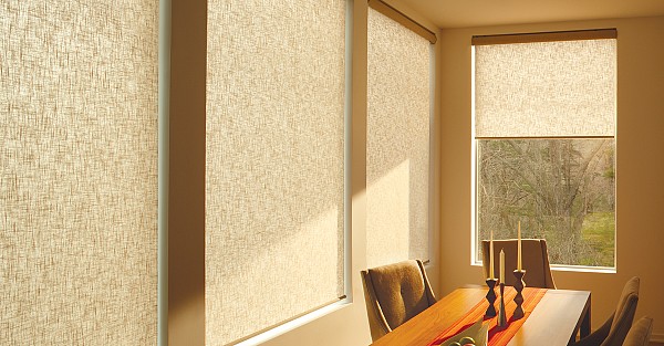 Lutron Hartman and Forbes Roman Shades